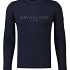 Cavallaro Sweater